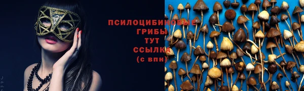 гидра Инсар