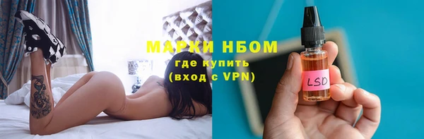 гидра Инсар