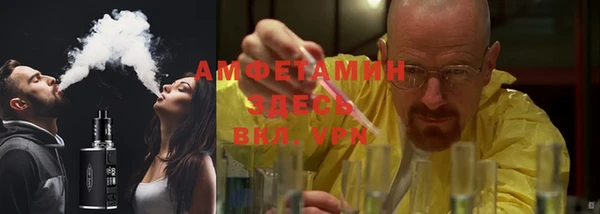 гидра Инсар