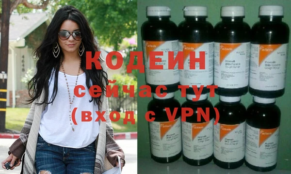 гидра Инсар