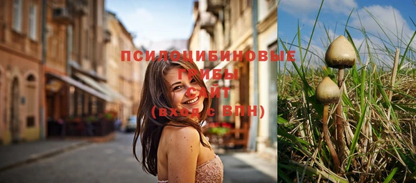 ГАЛЛЮЦИНОГЕННЫЕ ГРИБЫ Иннополис