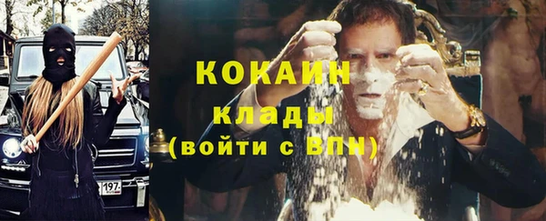 гидра Инсар