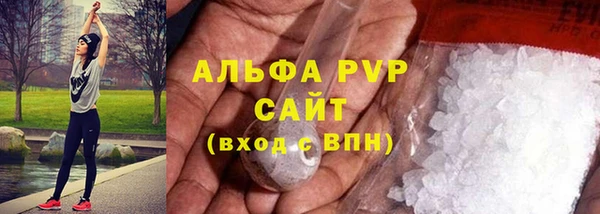 ГАЛЛЮЦИНОГЕННЫЕ ГРИБЫ Иннополис