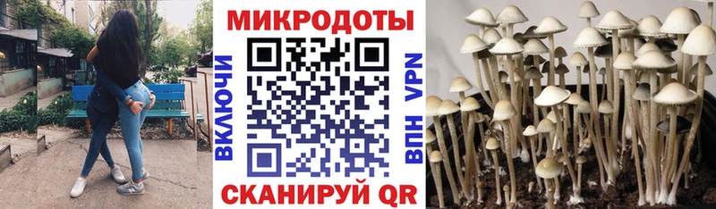 Галлюциногенные грибы Magic Shrooms  Кемь 